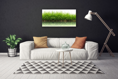 Print van doek Grass nature plant