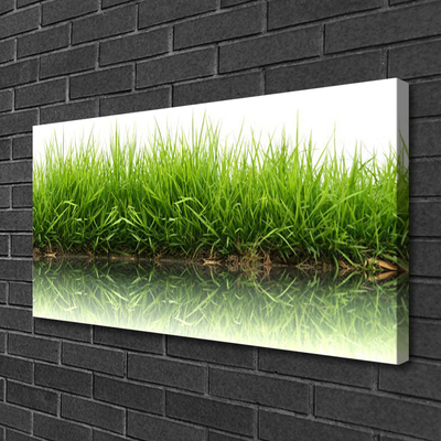 Print van doek Grass nature plant