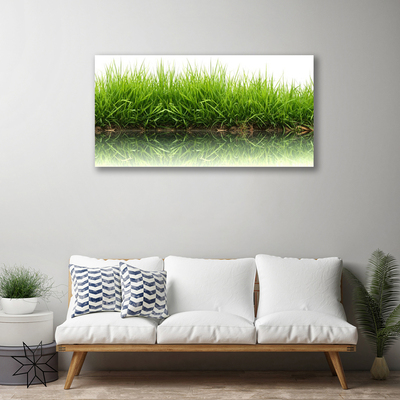 Print van doek Grass nature plant