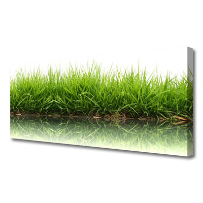 Print van doek Grass nature plant