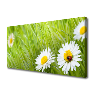 Print van doek Grass daisies nature