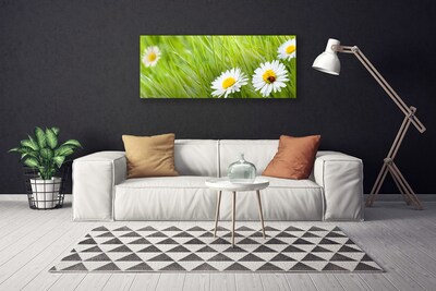 Print van doek Grass daisies nature