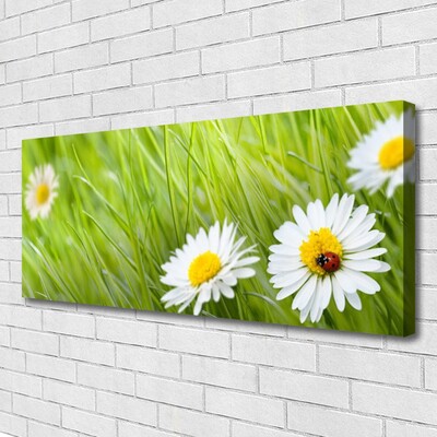 Print van doek Grass daisies nature