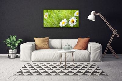 Print van doek Grass daisies nature