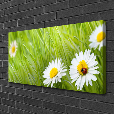 Print van doek Grass daisies nature