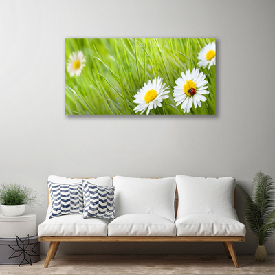 Print van doek Grass daisies nature