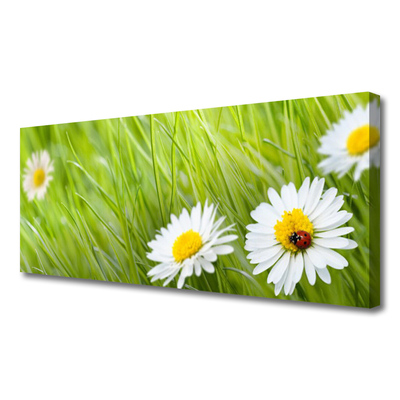 Print van doek Grass daisies nature