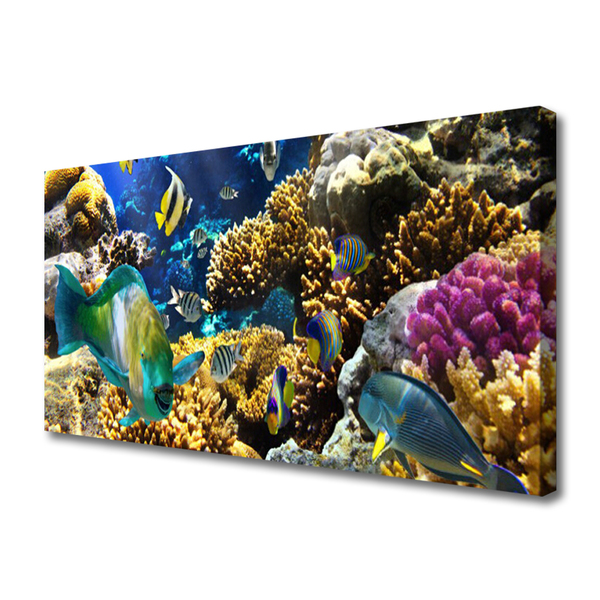 Print van doek Barrier reef nature