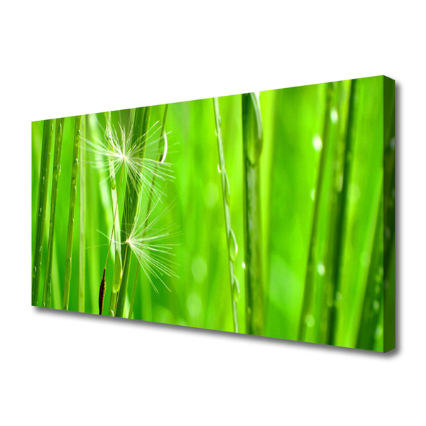 Print van doek Grass nature plant