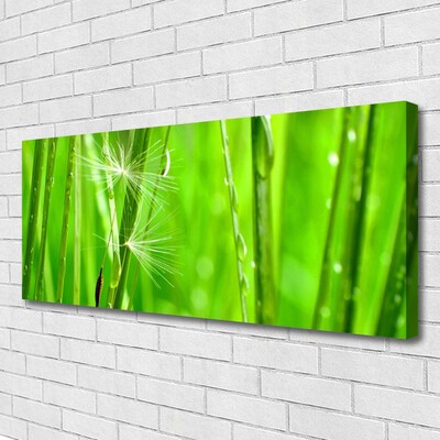 Print van doek Grass nature plant