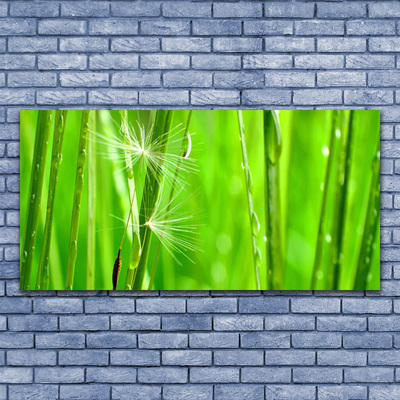 Print van doek Grass nature plant