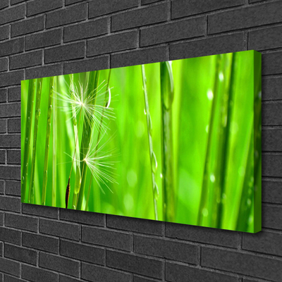 Print van doek Grass nature plant