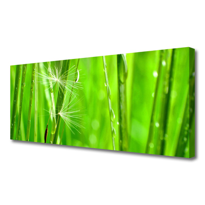 Print van doek Grass nature plant