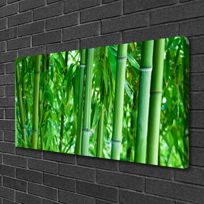 Print van doek Bamboo stengelplant