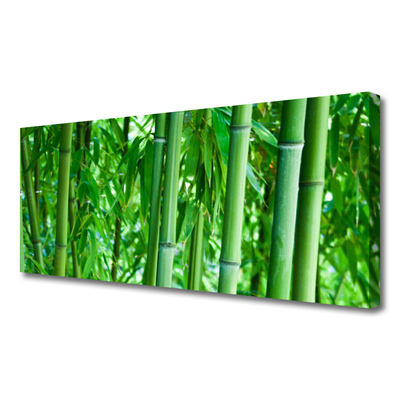 Print van doek Bamboo stengelplant