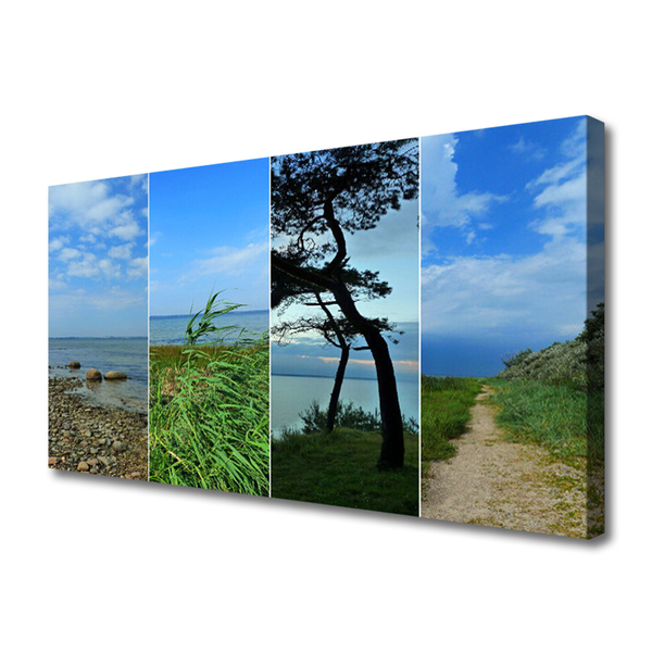 Print van doek Beach tree landscape