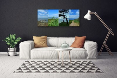 Print van doek Beach tree landscape