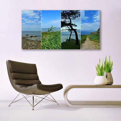 Print van doek Beach tree landscape