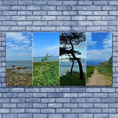 Print van doek Beach tree landscape