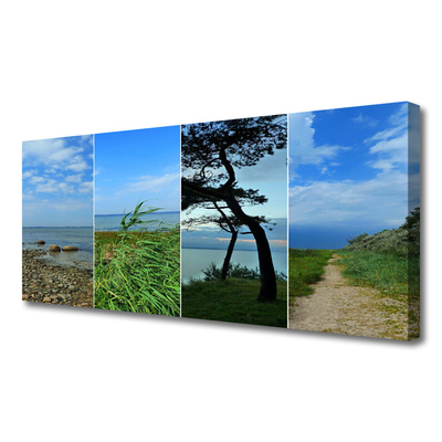 Print van doek Beach tree landscape