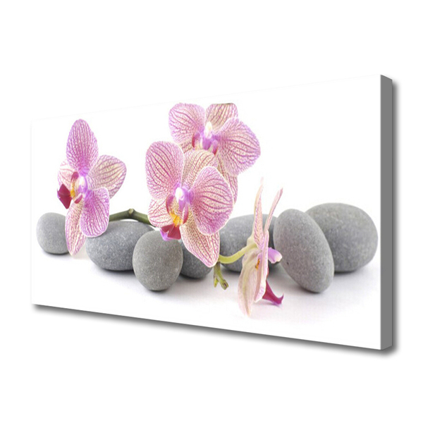 Print van doek Tree plant stones