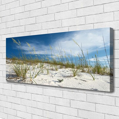 Print van doek Strandlandschappen