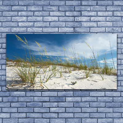 Print van doek Strandlandschappen