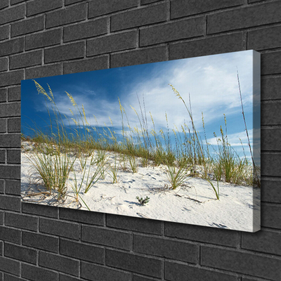 Print van doek Strandlandschappen