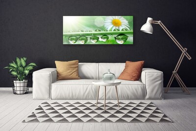 Print van doek Dew leaf nature daisies