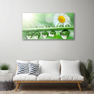 Print van doek Dew leaf nature daisies