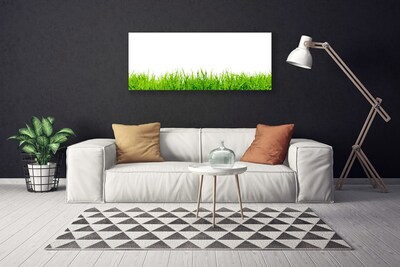 Print van doek Grass nature plant