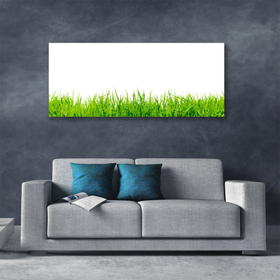 Print van doek Grass nature plant