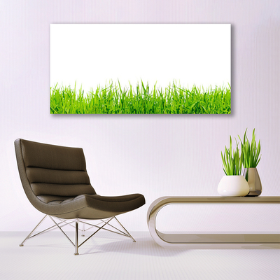 Print van doek Grass nature plant