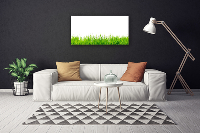 Print van doek Grass nature plant