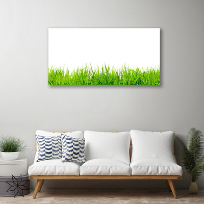 Print van doek Grass nature plant