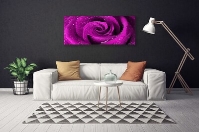 Print van doek Rose flower plant natuur