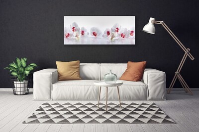 Print van doek Bloemen plant nature