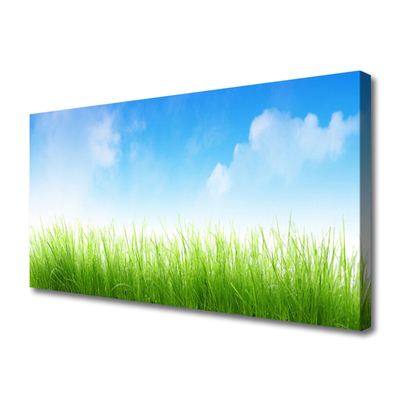 Print van doek Grass nature plant