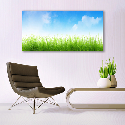 Print van doek Grass nature plant