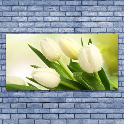 Print van doek Tulpen bloemen plant