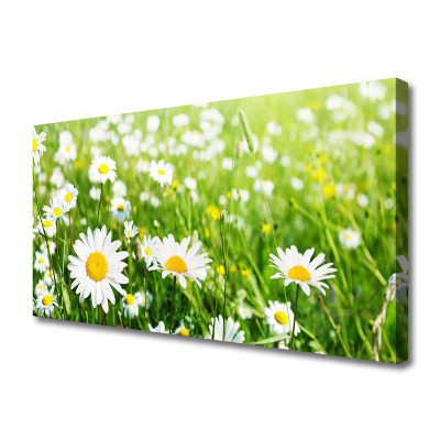 Print van doek Daisy flower plant