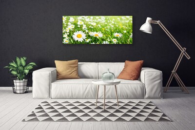 Print van doek Daisy flower plant