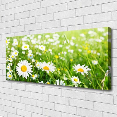 Print van doek Daisy flower plant