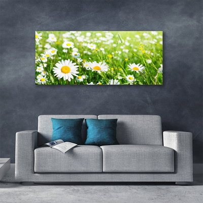 Print van doek Daisy flower plant