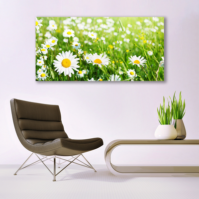 Print van doek Daisy flower plant