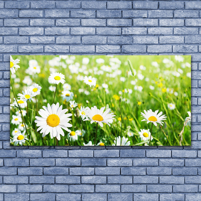 Print van doek Daisy flower plant