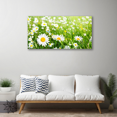 Print van doek Daisy flower plant