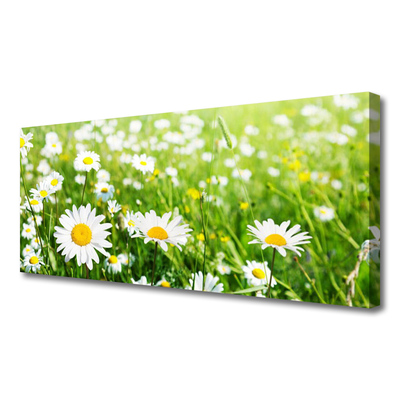 Print van doek Daisy flower plant