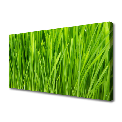 Print van doek Grass nature plant