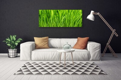 Print van doek Grass nature plant